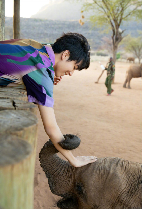 小鲜肉tfboys王俊凯与动物写真图片