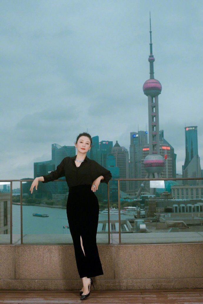 高贵典雅的中国美女陈红图片 内地女明星图片