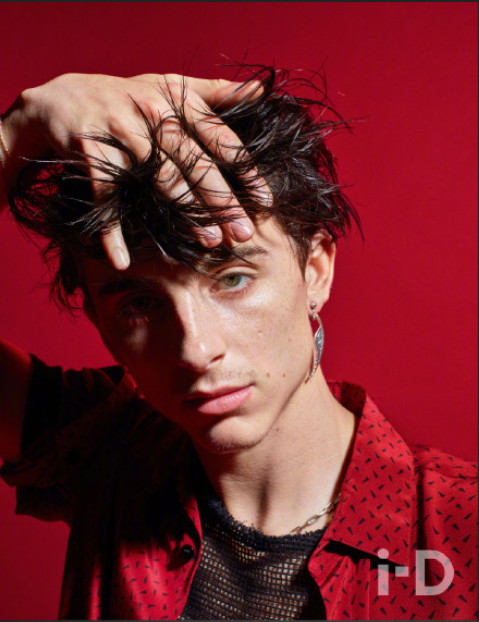 欧美男明星Timothée Chalamet登《i-D》2018冬季刊封面