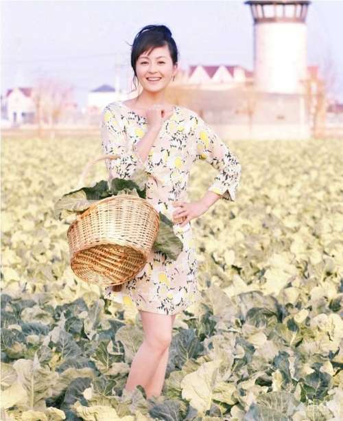中国气质女星戴娇倩写真合集_戴娇倩图片
