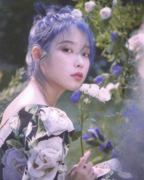 花仙子蓝色头发李知恩iu韩国美女图片