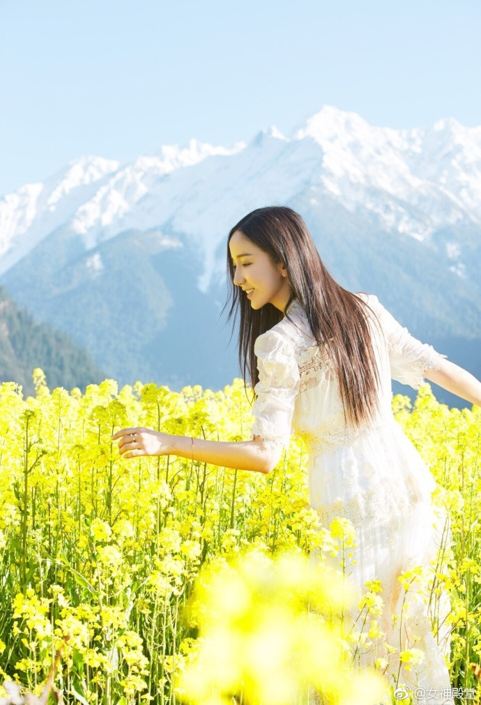中国内地女演员娄艺潇油菜花田唯美写真