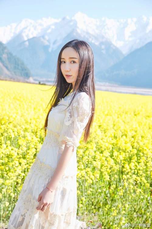 中国内地女演员娄艺潇油菜花田唯美写真