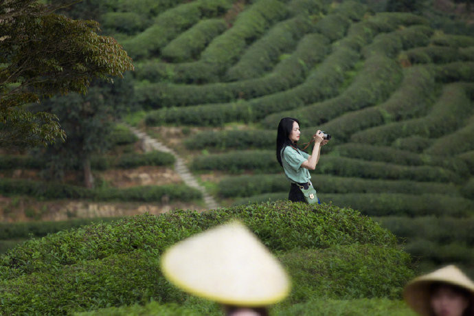 中国美女图片 女演员姚晨武夷山写真清新自然图