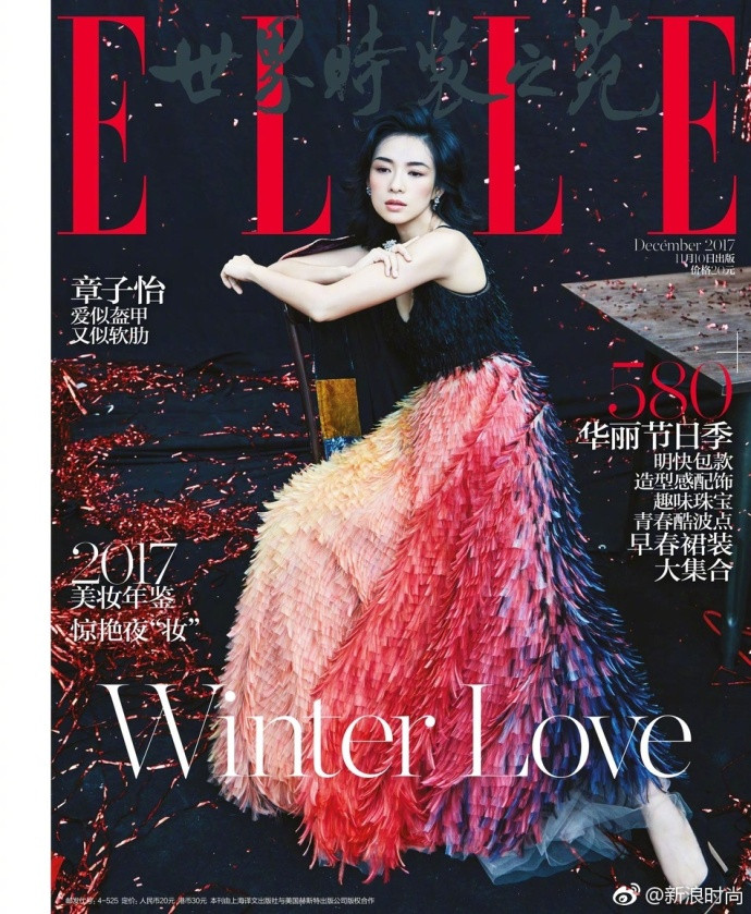 国际影星章子怡ELLE12月封面大片