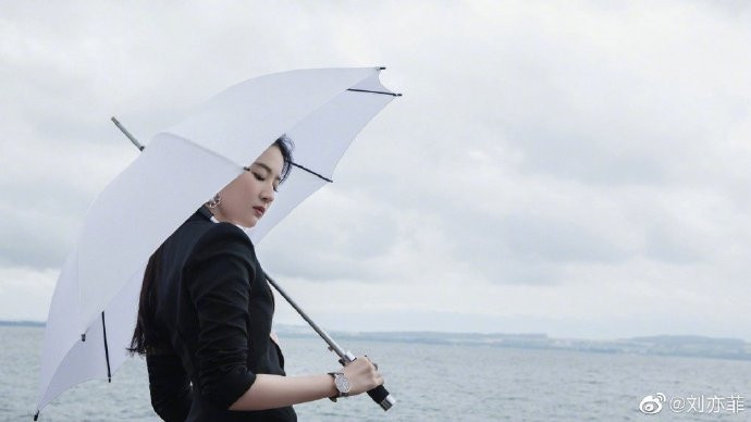 亚洲美女图片 御姐范刘亦菲西装图片
