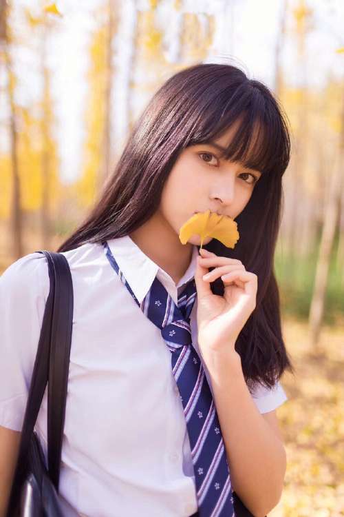 清纯美女学生制服杏树林秋日写真图片