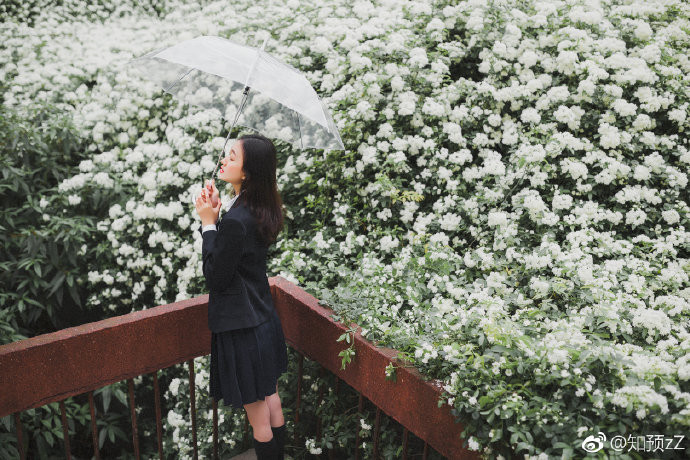 清纯小美女花海写真图片