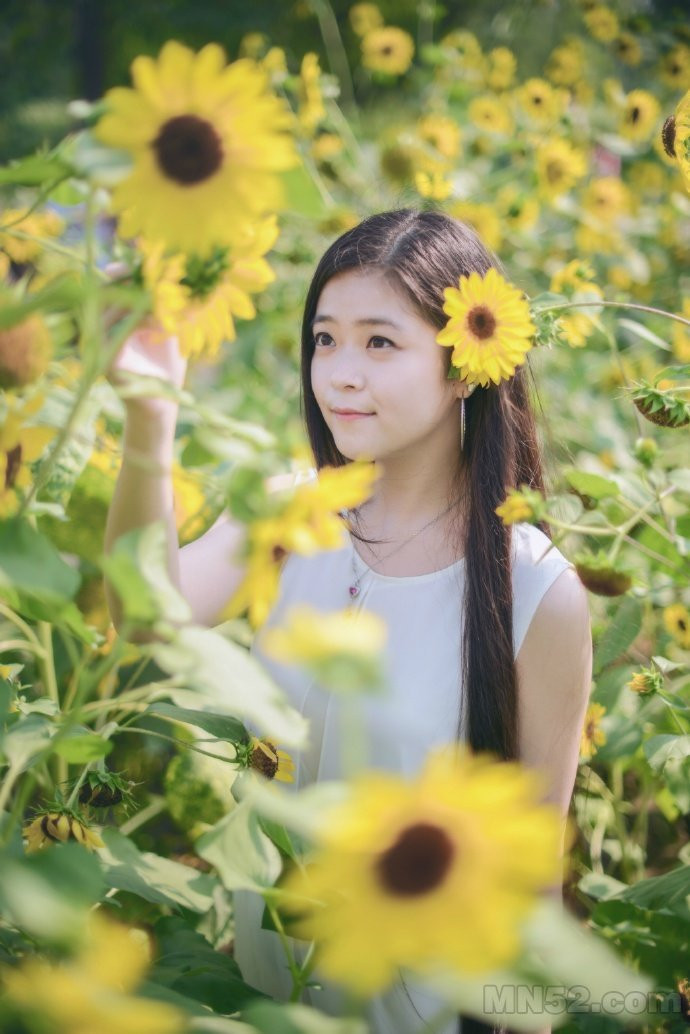 葵花海中的靓丽美女写真