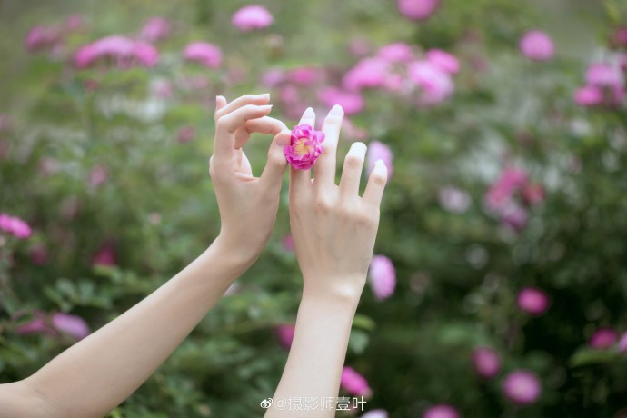 长发飘飘的气质美女图片