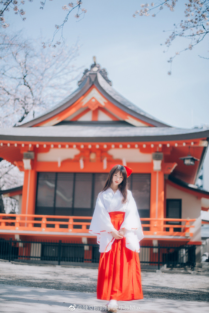 日本美女Candy闻馨樱花季和服清纯唯美写真