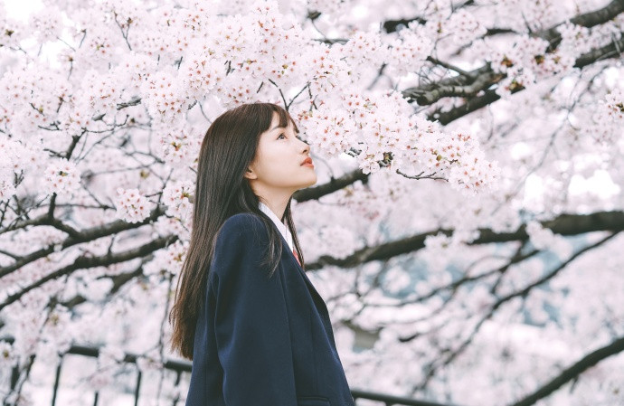 清纯美女武汉樱花季学生制服唯美图片