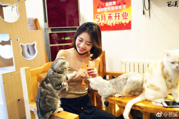 清纯美女模特小鹤er喂猫咪爱心图片