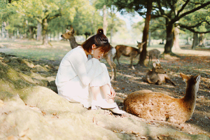 清纯美女图片 网红Demi-爷爷日本写真图片