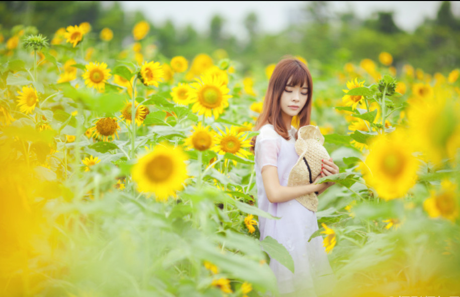 清纯美女图片_模特凌儿在海珠湖写真向日葵与少