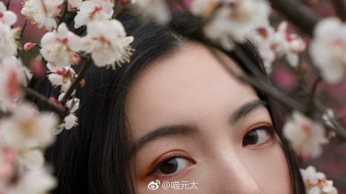 清纯美女貔咻__春天桃花源唯美图片