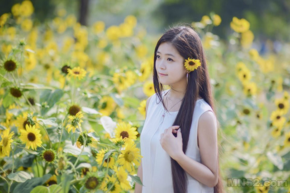 葵花海中的靓丽美女写真