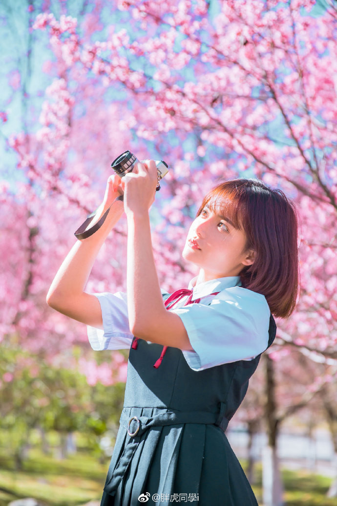 清纯美女樱花树下唯美写真