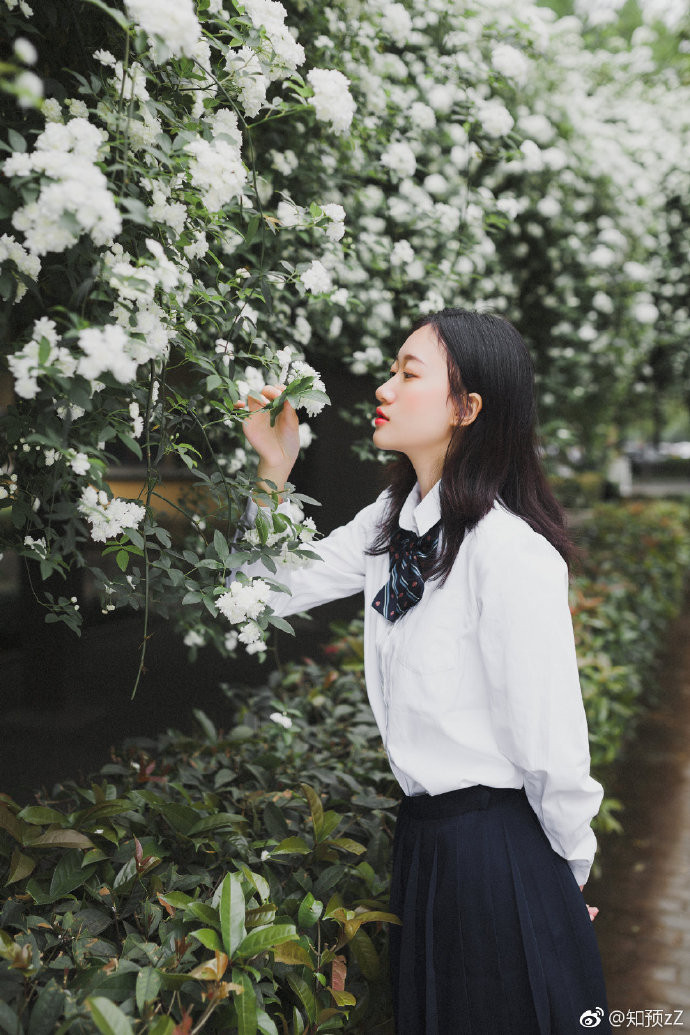 清纯小美女花海写真图片