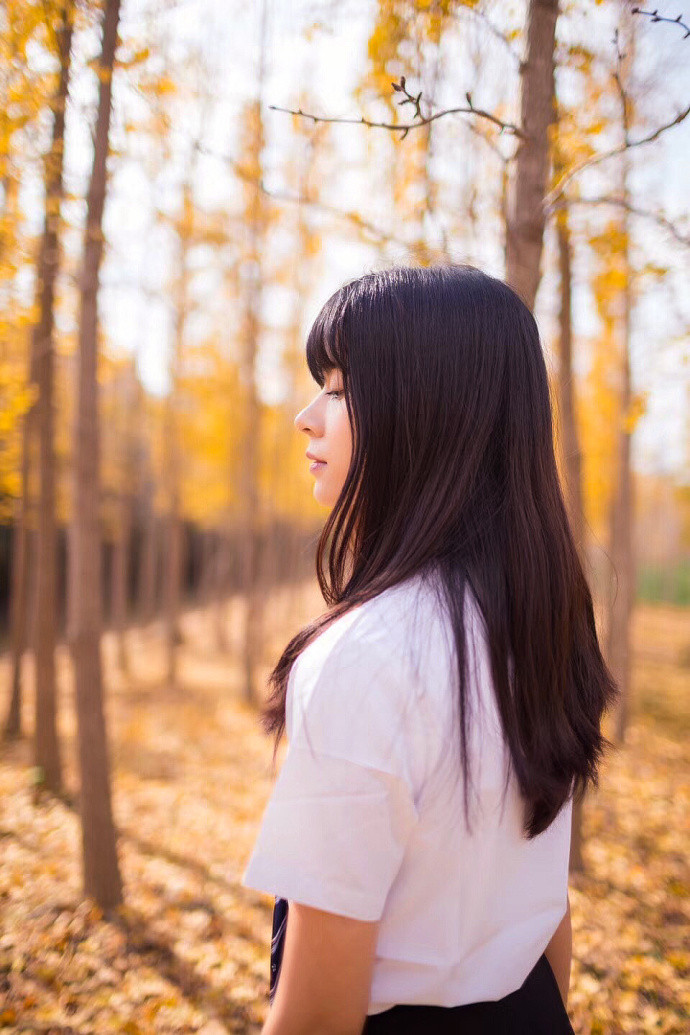 清纯美女学生制服杏树林秋日写真图片