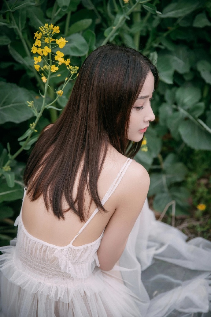 透视蕾丝美女油菜花田唯美写真图片