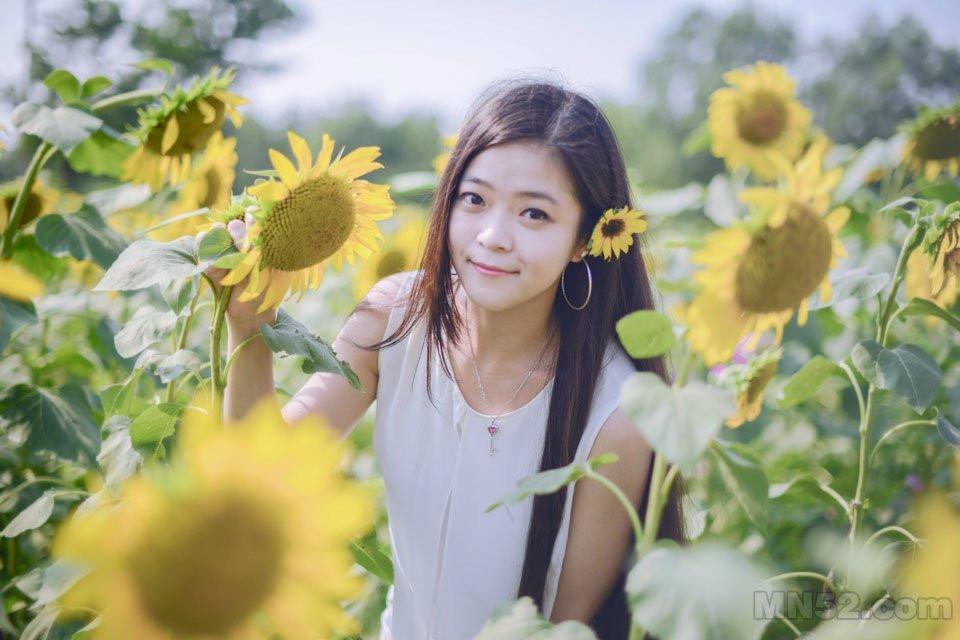 葵花海中的靓丽美女写真