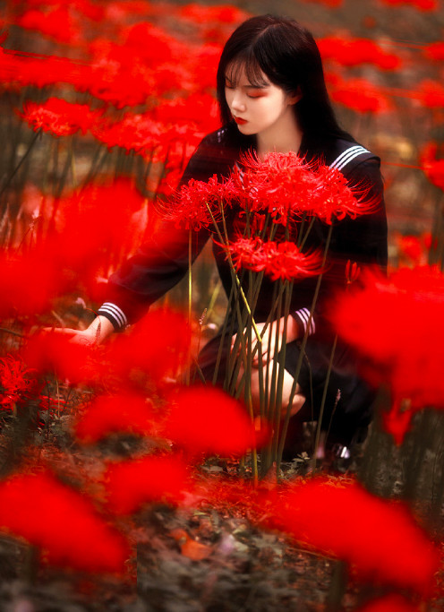 浙江美女图片 清纯美女彼岸花花田写真图片