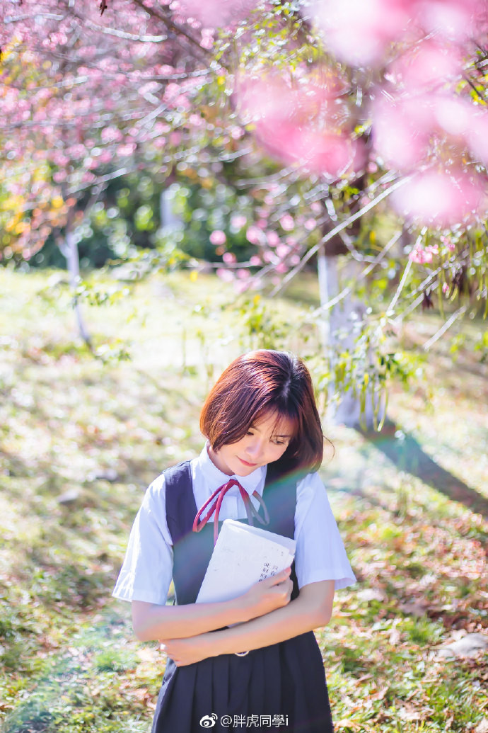 清纯美女樱花树下唯美写真