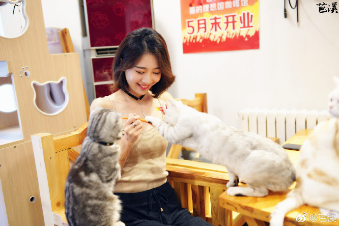 清纯美女模特小鹤er喂猫咪爱心图片