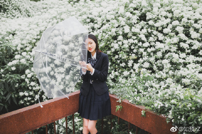 清纯小美女花海写真图片