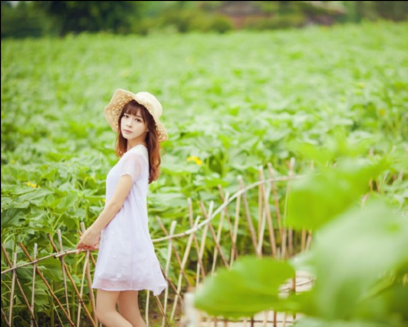 清纯美女图片_模特凌儿在海珠湖写真向日葵与少