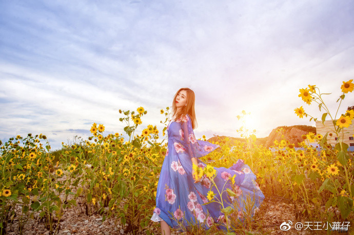 清纯美女Model葛莹《小葵花也有春天》写真