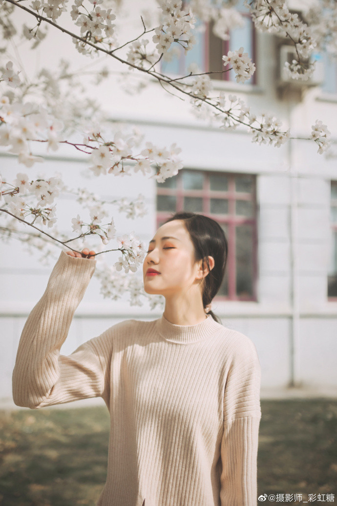 梨花树下温柔的清纯美女图片